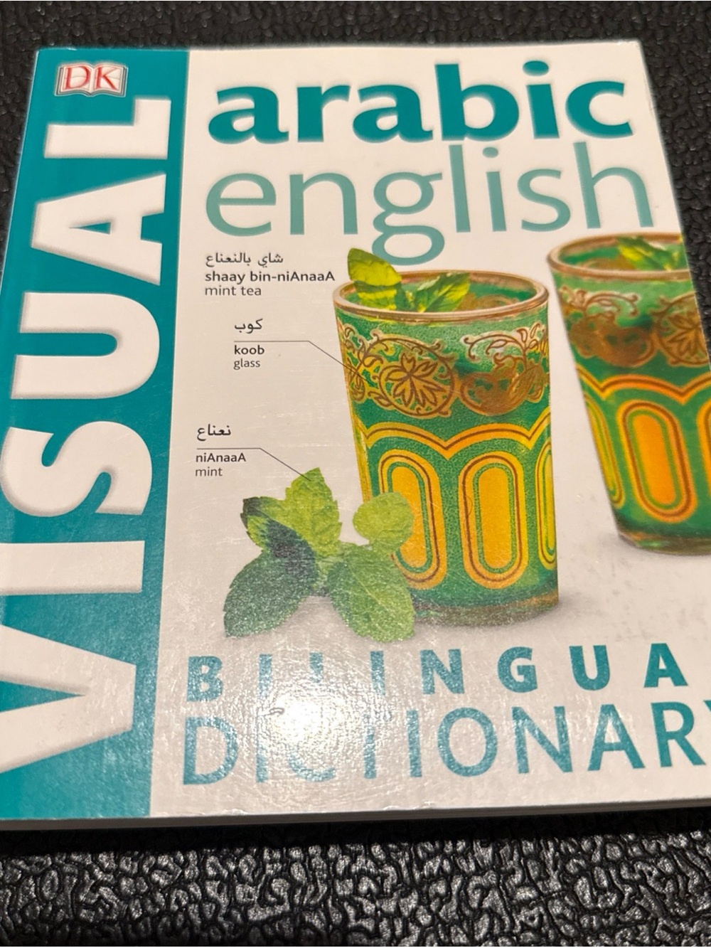 Visual Arabic-English Bilingual Dictionary - Teal and Green